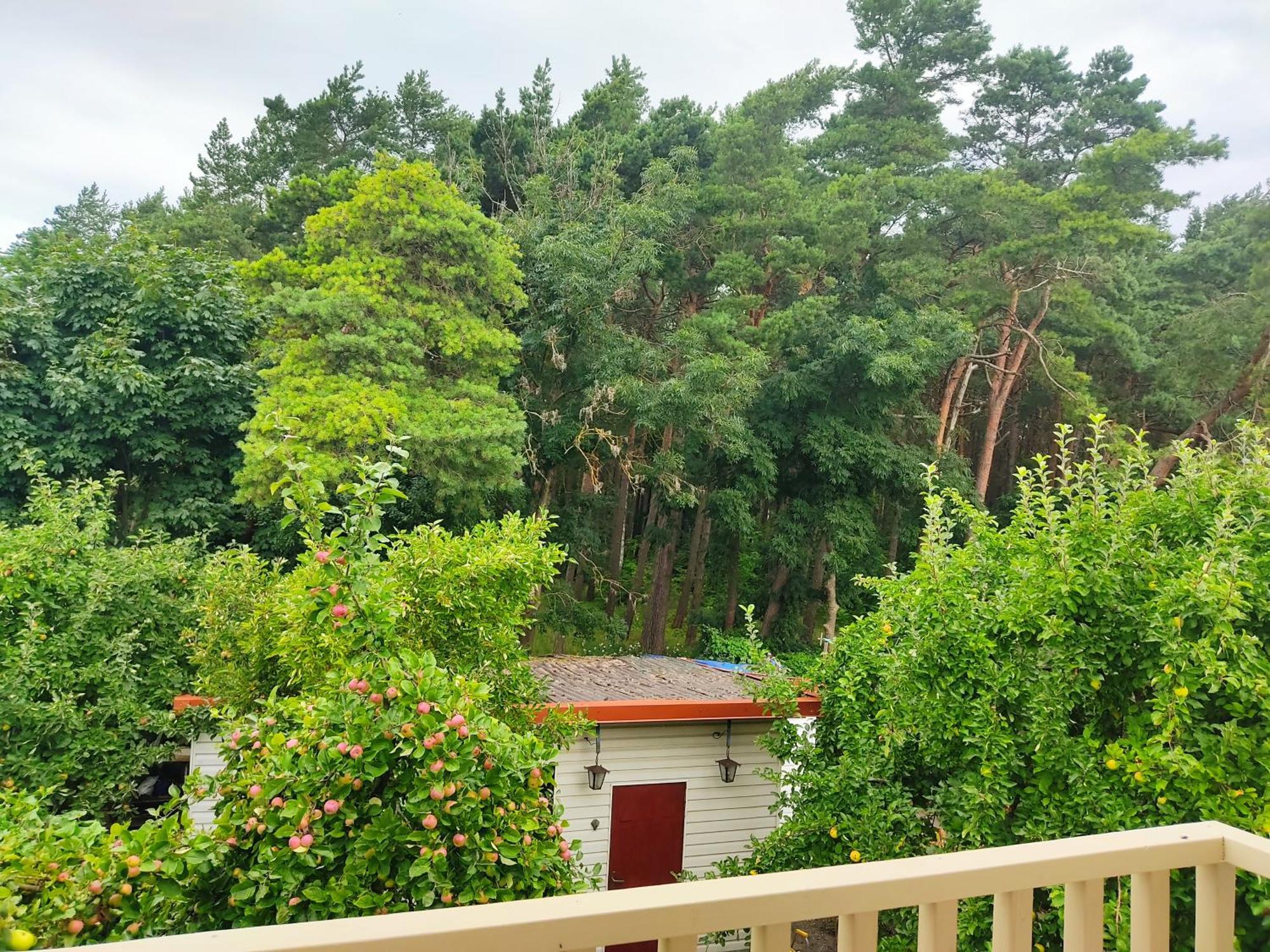 Kopa Cabana 帕兰加 外观 照片